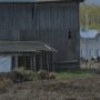_DSC4730