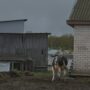 _DSC4761