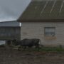 _DSC4801