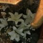 IMG_20260724_140828